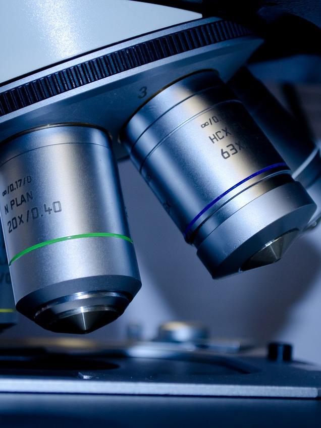 Entlastung für pathologische Institute: Effiziente Befund­schreibung in den Fokus gerückt